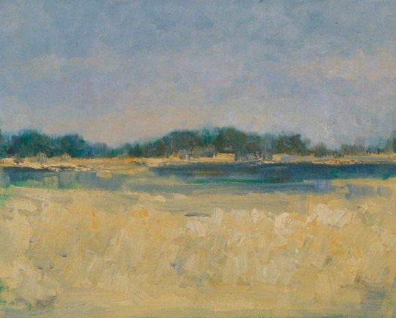 Wetlands Landscape
