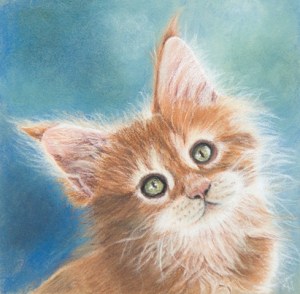 Image of a orange fuzzy kitten