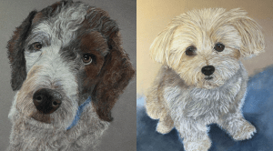 Image of pastel painting a brown and white dog next to a painting of a white Lhasa Apso mix.